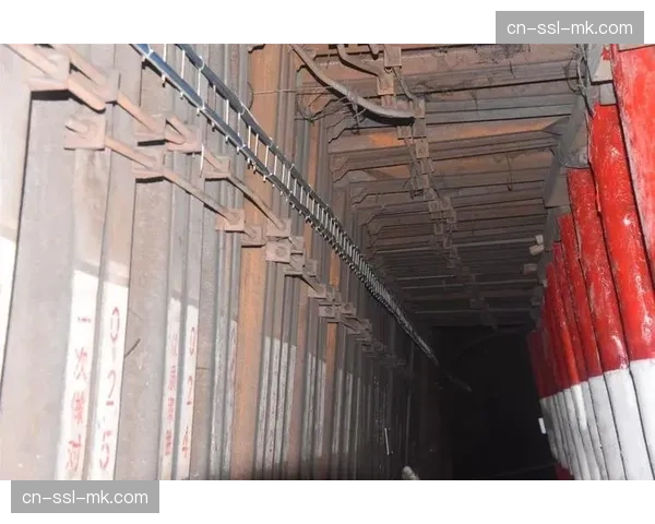 标准化视觉物料清单管理制度实施 提升了大规模赛事执行的合规性